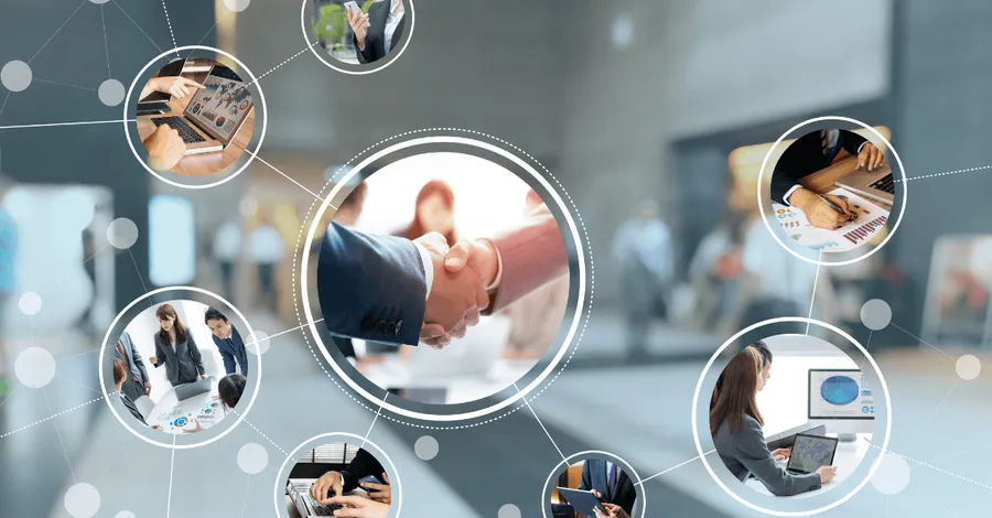 How to network professionally and get job opportunities guide