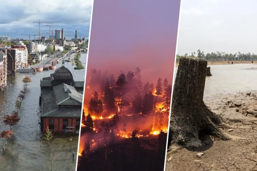 How climate change affects the environment globally and shifts ecological balance